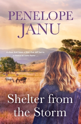 Book cover for Shelter from the Storm