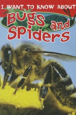 Cover of I Want to Know about Bugs and Spiders