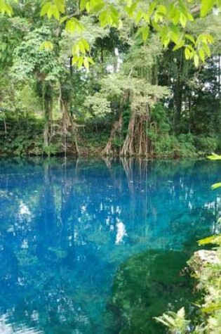 Cover of Matavulu Blue Hole in Espirito Santo Vanuatu Journal