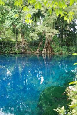 Book cover for Matavulu Blue Hole in Espirito Santo Vanuatu Journal