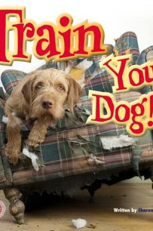 Cover of Train Your Dog