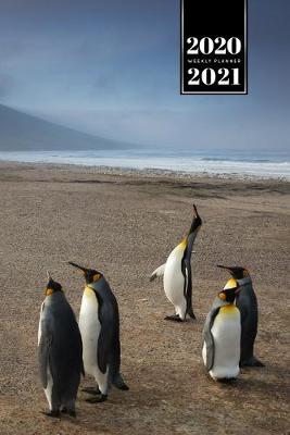 Book cover for Penguin Puffin Antarctica Seabird Week Planner Weekly Organizer Calendar 2020 / 2021 - Family on the Beach