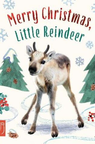 Cover of Merry Christmas, Little Reindeer