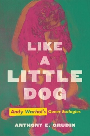 Cover of Like a Little Dog