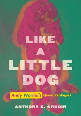 Book cover for Like a Little Dog