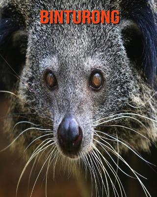 Book cover for Binturong