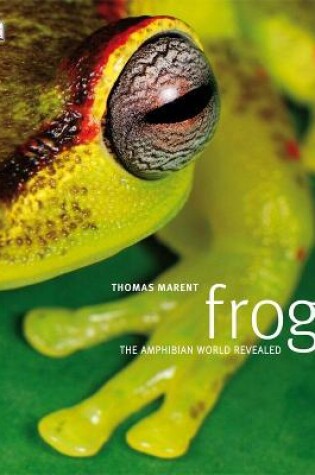 Cover of Frog