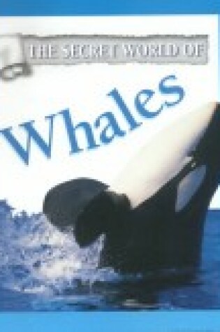 Cover of Whales