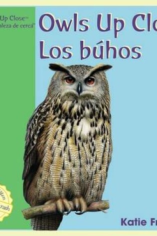Cover of Owls Up Close / Los Buhos