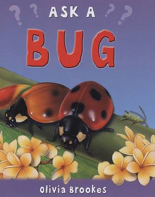 Cover of Ask a Bug