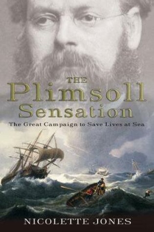 Cover of The Plimsoll Sensation