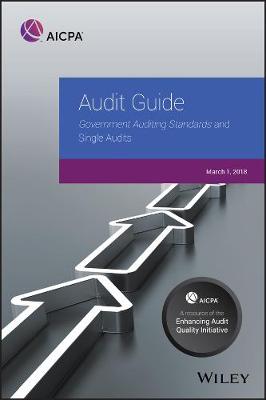 Book cover for Audit Guide