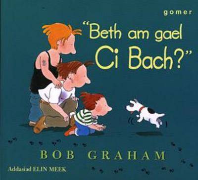 Book cover for Beth am Gael Ci Bach?