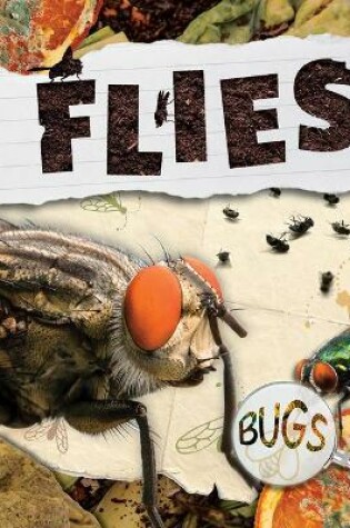 Cover of Flies