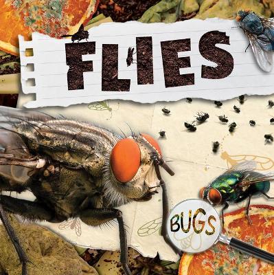 Book cover for Flies