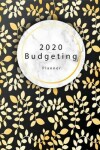 Book cover for Budgeting Planner 2020