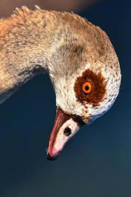 Book cover for Egyptian Nile Goose Profile Journal