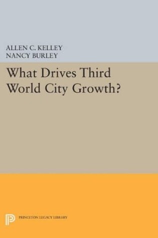 Cover of What Drives Third World City Growth?