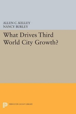 Book cover for What Drives Third World City Growth?