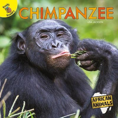 Cover of Chimpanzee