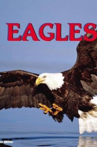 Cover of Eagles