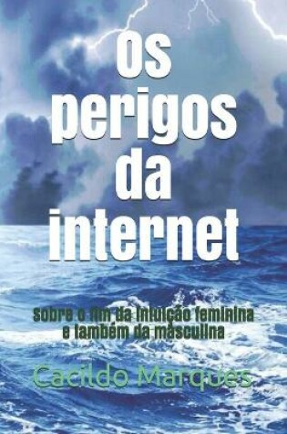 Cover of Os perigos da internet