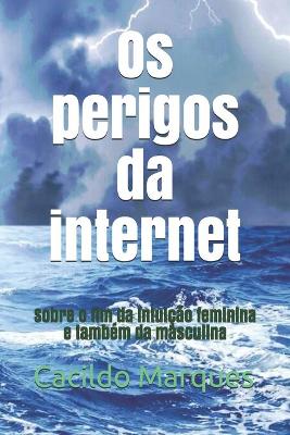 Book cover for Os perigos da internet