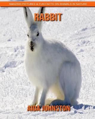 Book cover for Rabbit