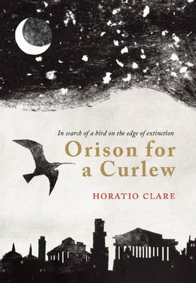 Book cover for Orison for a Curlew