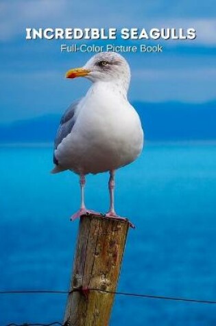 Cover of Incredible Seagulls Full-Color Picture Book