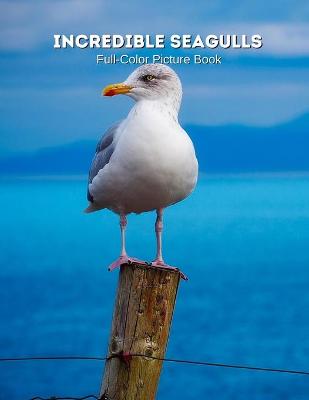 Book cover for Incredible Seagulls Full-Color Picture Book