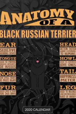 Book cover for Anatomy Of A Black Russian Terrier