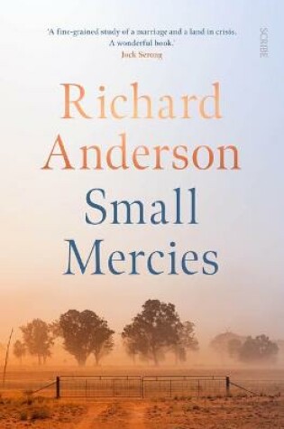 Cover of Small Mercies