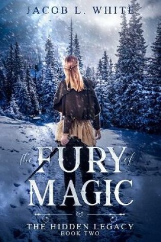 Cover of The Fury of Magic