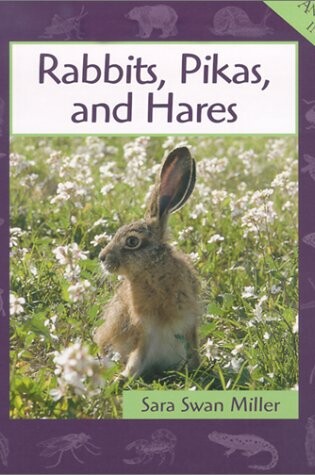 Cover of Rabbits, Pikas, and Hares