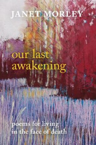 Cover of Our Last Awakening