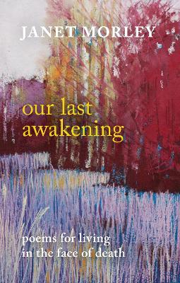 Book cover for Our Last Awakening