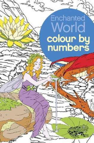 Cover of Enchanted World Colour by Numbers