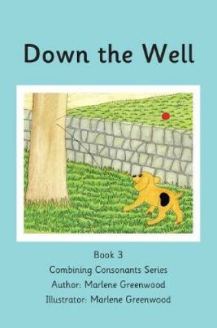 Cover of Down the Well