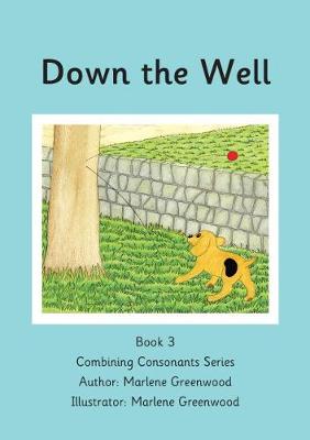 Book cover for Down the Well
