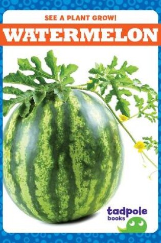 Cover of Watermelon