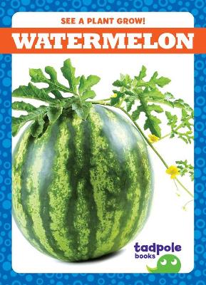 Cover of Watermelon