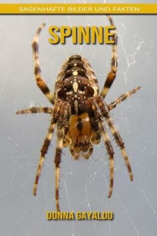 Cover of Spinne