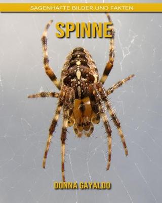 Book cover for Spinne