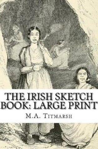 Cover of The Irish Sketch Book