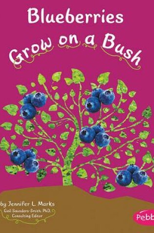 Cover of Blueberries Grow on a Bush