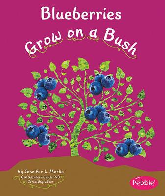 Cover of Blueberries Grow on a Bush