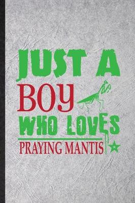 Book cover for Just a Boy Who Loves Praying Mantis