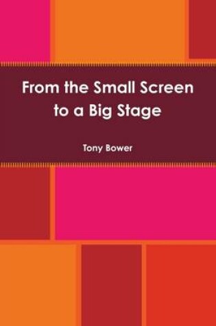 Cover of From the Small Screen to a Big Stage