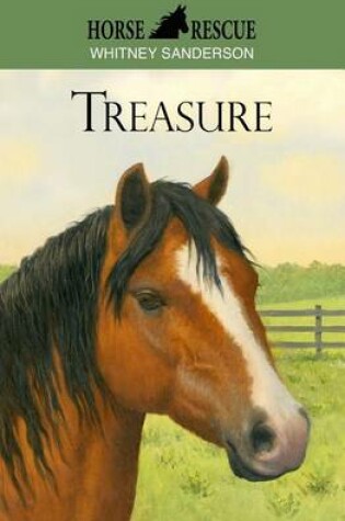 Cover of Horse Rescue